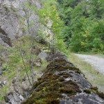Reservatia Naturala Tesita - viaduct peste rau