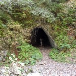 Reservatia Naturala Tesita - Tunelul Serpilor